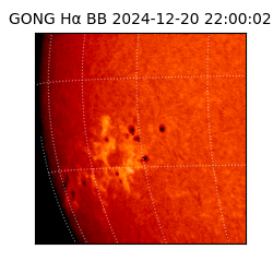 gong - 2024-12-20T22:00:02