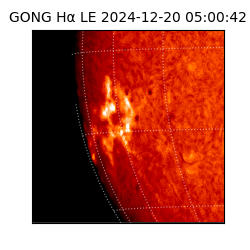 gong - 2024-12-20T05:00:42