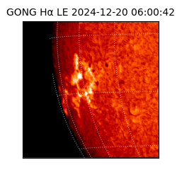 gong - 2024-12-20T06:00:42