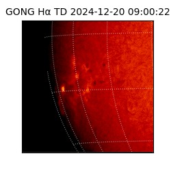 gong - 2024-12-20T09:00:22