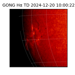 gong - 2024-12-20T10:00:22