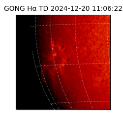 gong - 2024-12-20T11:06:22