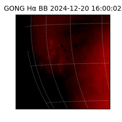 gong - 2024-12-20T16:00:02