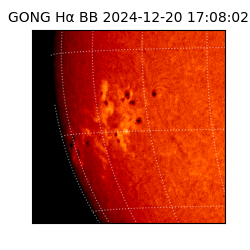 gong - 2024-12-20T17:08:02