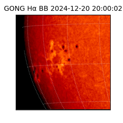 gong - 2024-12-20T20:00:02