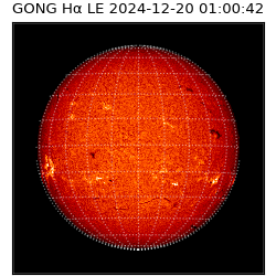 gong - 2024-12-20T01:00:42