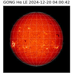 gong - 2024-12-20T04:00:42