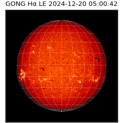 gong - 2024-12-20T05:00:42