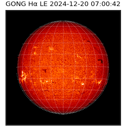 gong - 2024-12-20T07:00:42