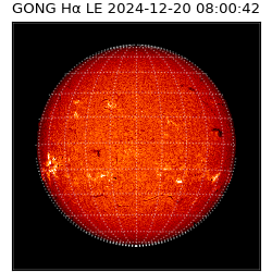 gong - 2024-12-20T08:00:42