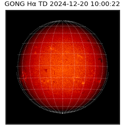 gong - 2024-12-20T10:00:22