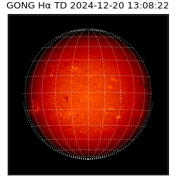 gong - 2024-12-20T13:08:22