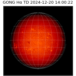 gong - 2024-12-20T14:00:22