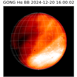 gong - 2024-12-20T16:00:02