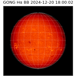 gong - 2024-12-20T18:00:02