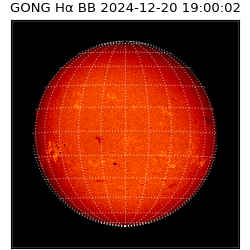 gong - 2024-12-20T19:00:02