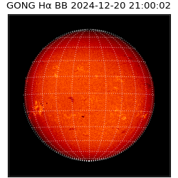 gong - 2024-12-20T21:00:02