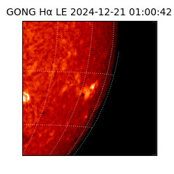 gong - 2024-12-21T01:00:42