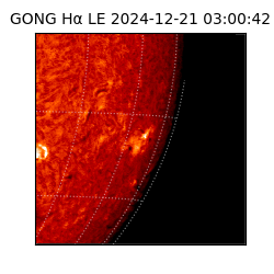 gong - 2024-12-21T03:00:42