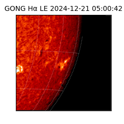gong - 2024-12-21T05:00:42