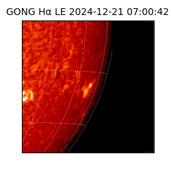 gong - 2024-12-21T07:00:42