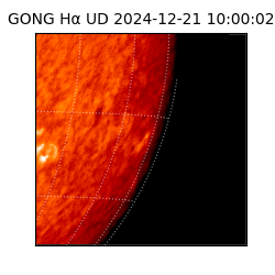 gong - 2024-12-21T10:00:02