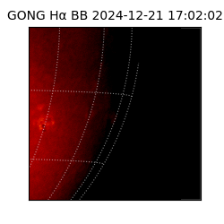 gong - 2024-12-21T17:02:02