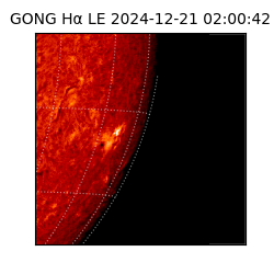 gong - 2024-12-21T02:00:42