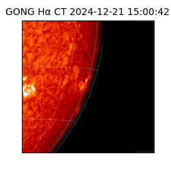 gong - 2024-12-21T15:00:42