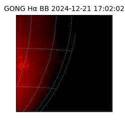 gong - 2024-12-21T17:02:02