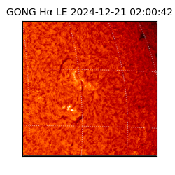 gong - 2024-12-21T02:00:42