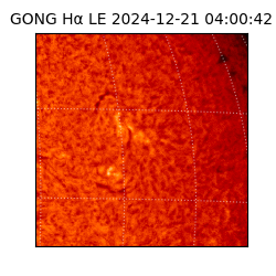 gong - 2024-12-21T04:00:42