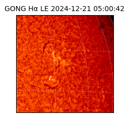 gong - 2024-12-21T05:00:42