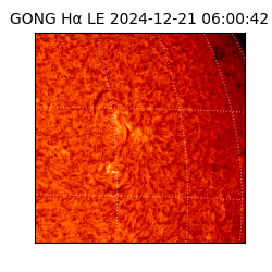 gong - 2024-12-21T06:00:42