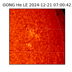 gong - 2024-12-21T07:00:42