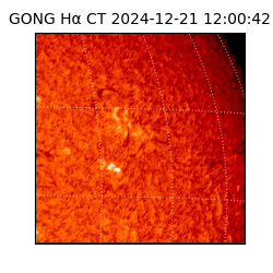 gong - 2024-12-21T12:00:42