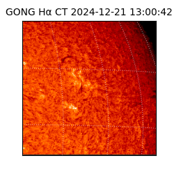 gong - 2024-12-21T13:00:42