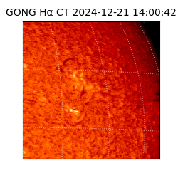 gong - 2024-12-21T14:00:42