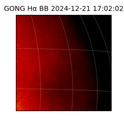 gong - 2024-12-21T17:02:02