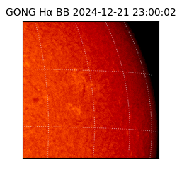 gong - 2024-12-21T23:00:02