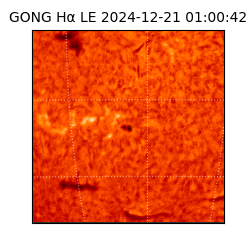 gong - 2024-12-21T01:00:42