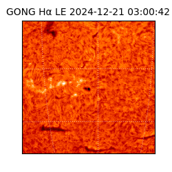 gong - 2024-12-21T03:00:42