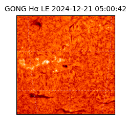 gong - 2024-12-21T05:00:42