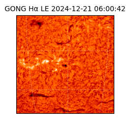 gong - 2024-12-21T06:00:42