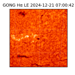 gong - 2024-12-21T07:00:42