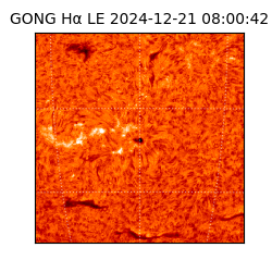 gong - 2024-12-21T08:00:42