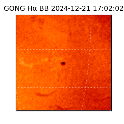 gong - 2024-12-21T17:02:02