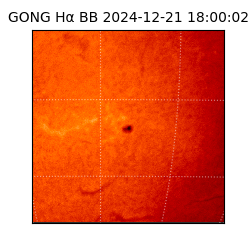 gong - 2024-12-21T18:00:02