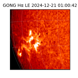 gong - 2024-12-21T01:00:42