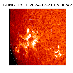 gong - 2024-12-21T05:00:42